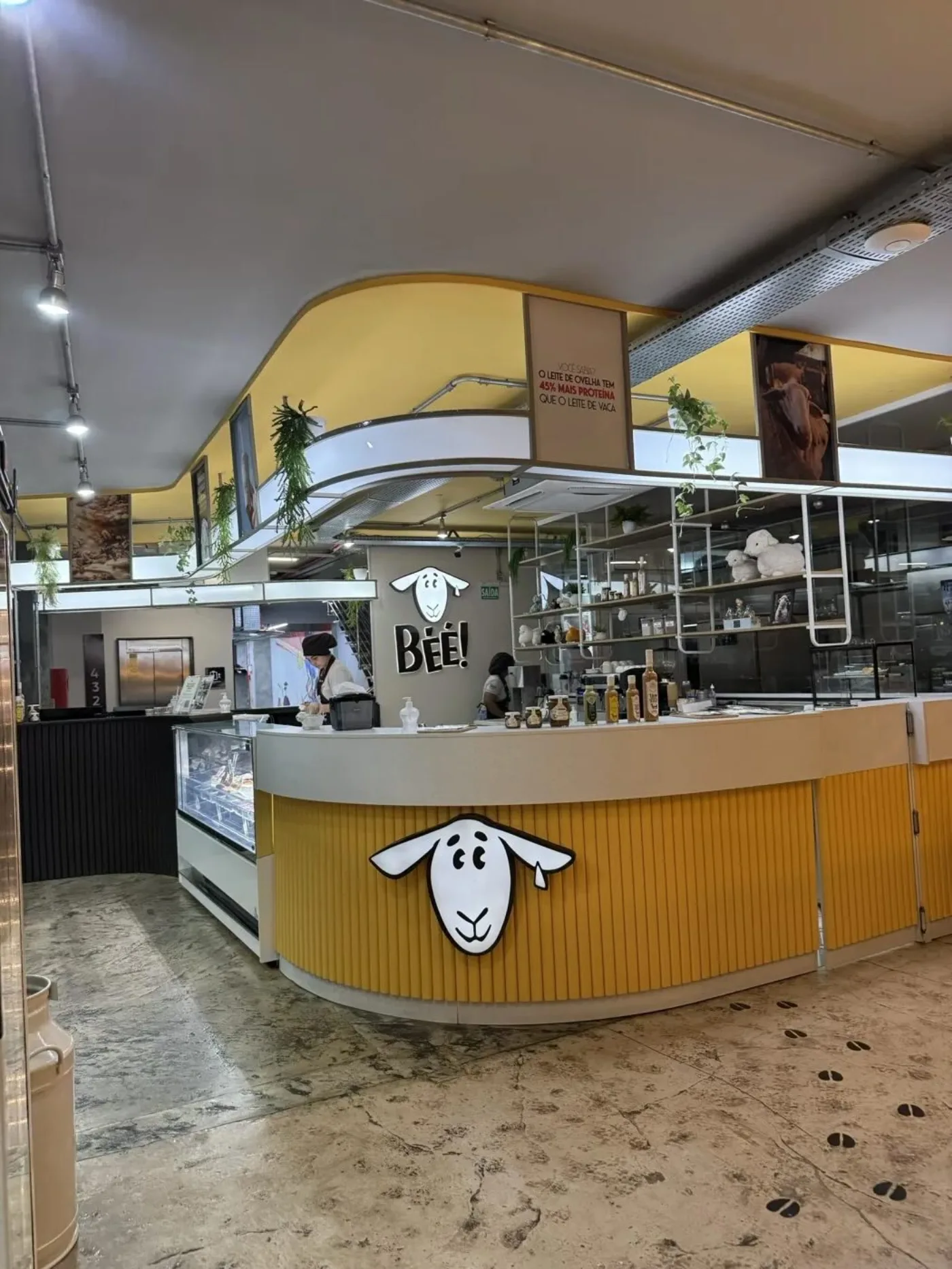 Balcão da loja Béé Centro, com o logo da ovelha na parede e a vitrine de gelatos